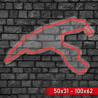 Neón LED Circuito Spa