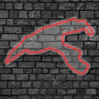 Neón LED Circuito Spa