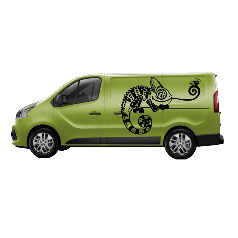 Camper Van Camaleón