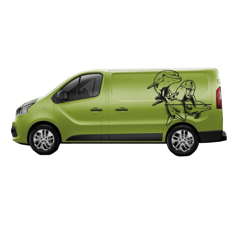 Camper Van Dolphins